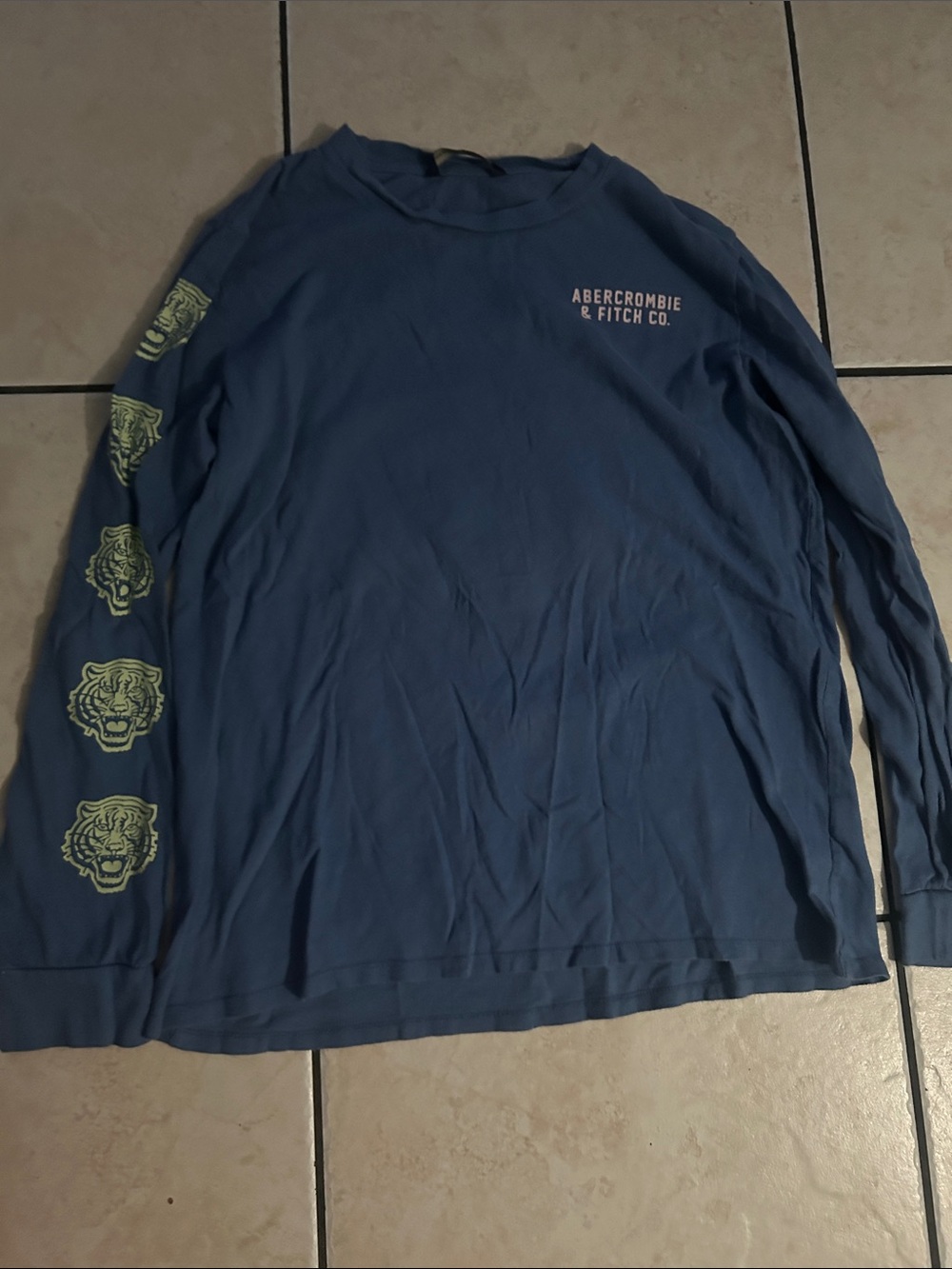 Abercrombie & Fitch Men's Long-Sleeve Slate Blue Graphic Tee with Sleeve Tigers